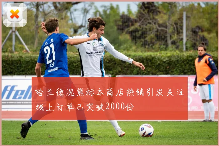 哈兰德浣熊标本商店热销引发关注线上订单已突破2000份