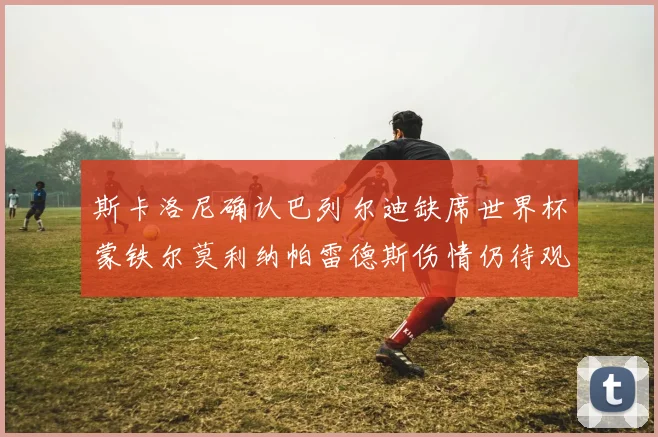 斯卡洛尼确认巴列尔迪缺席世界杯蒙铁尔莫利纳帕雷德斯伤情仍待观察